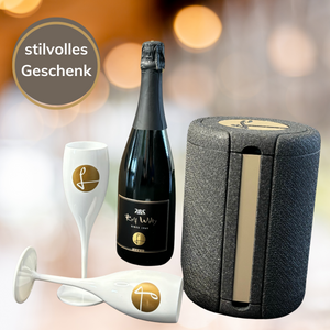 ICY Box Bundle champagner