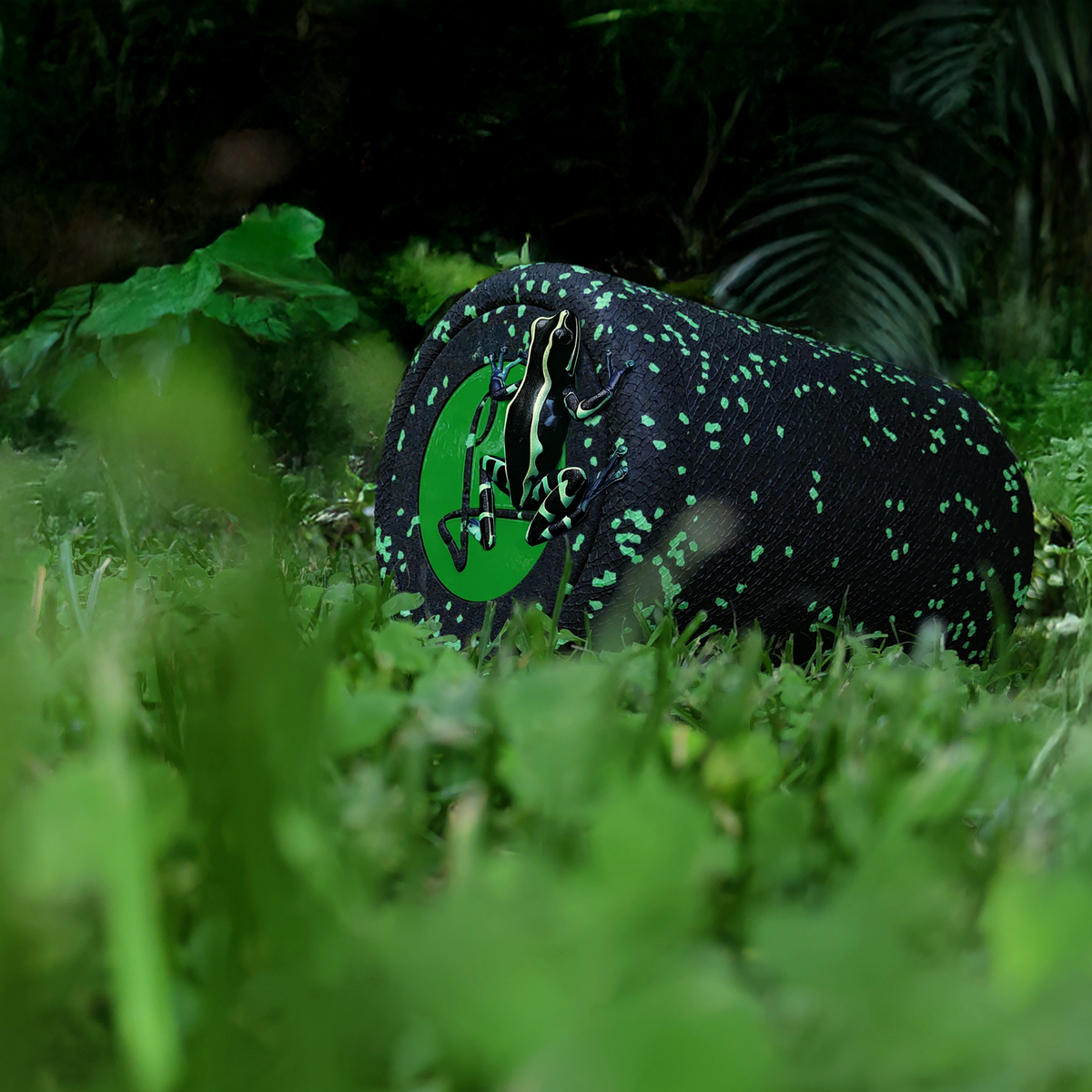 ICY Box froggy green