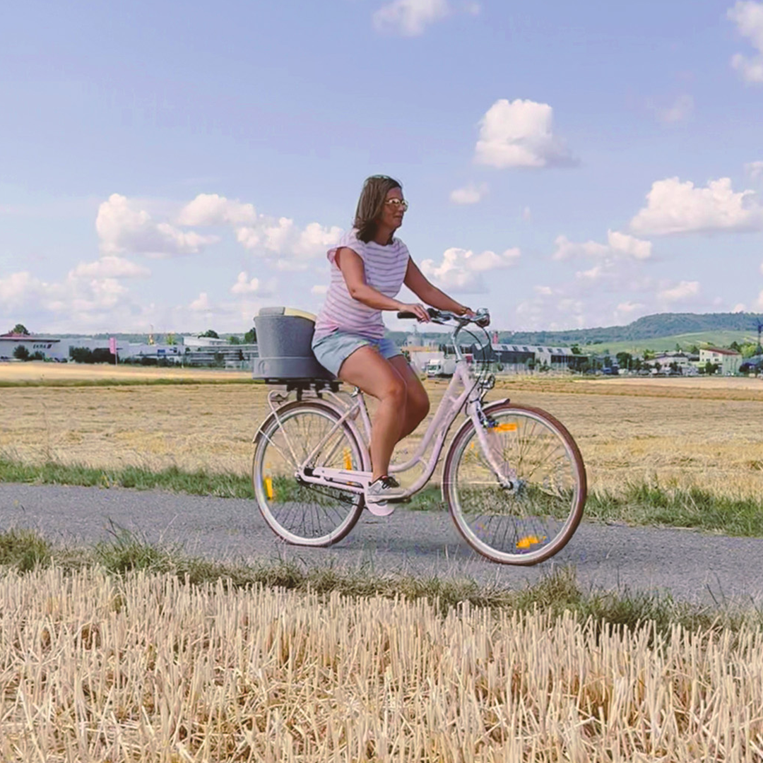 FAHRRADHALTERUNG silver grey